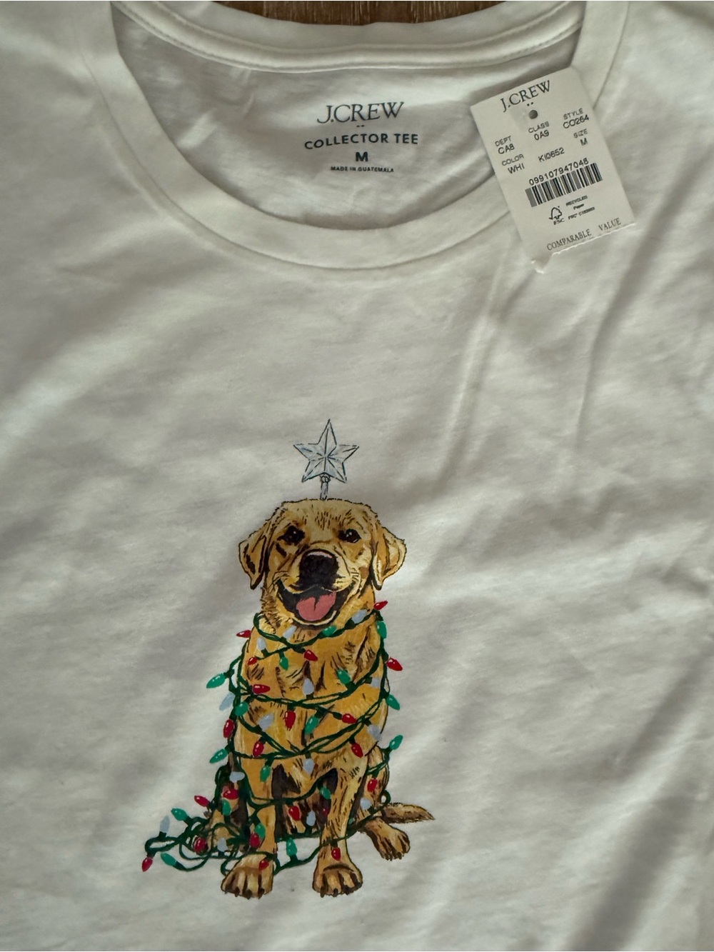 J. Crew Factory Women’s Holiday Lights Sleep Retriever Dog 2PC Pajama set Med - Picture 6 of 7